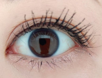 プレイカラーアイズ ダスティキャット/ETUDE/アイシャドウパレットを使ったクチコミ(4枚目)