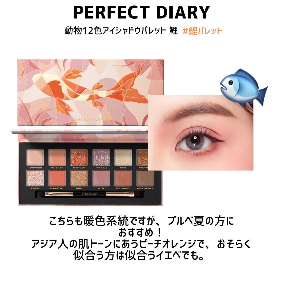 エクスプローラ12色 動物アイシャドウパレット/PERFECT DIARY/アイシャドウパレットを使ったクチコミ(5枚目)