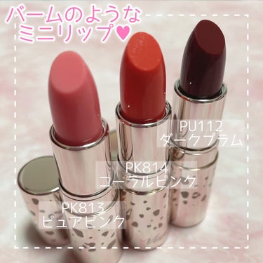 ミニバーム リップスティック PU112 ダークプラム(限定ティント)/Visée/口紅を使ったクチコミ（2枚目）