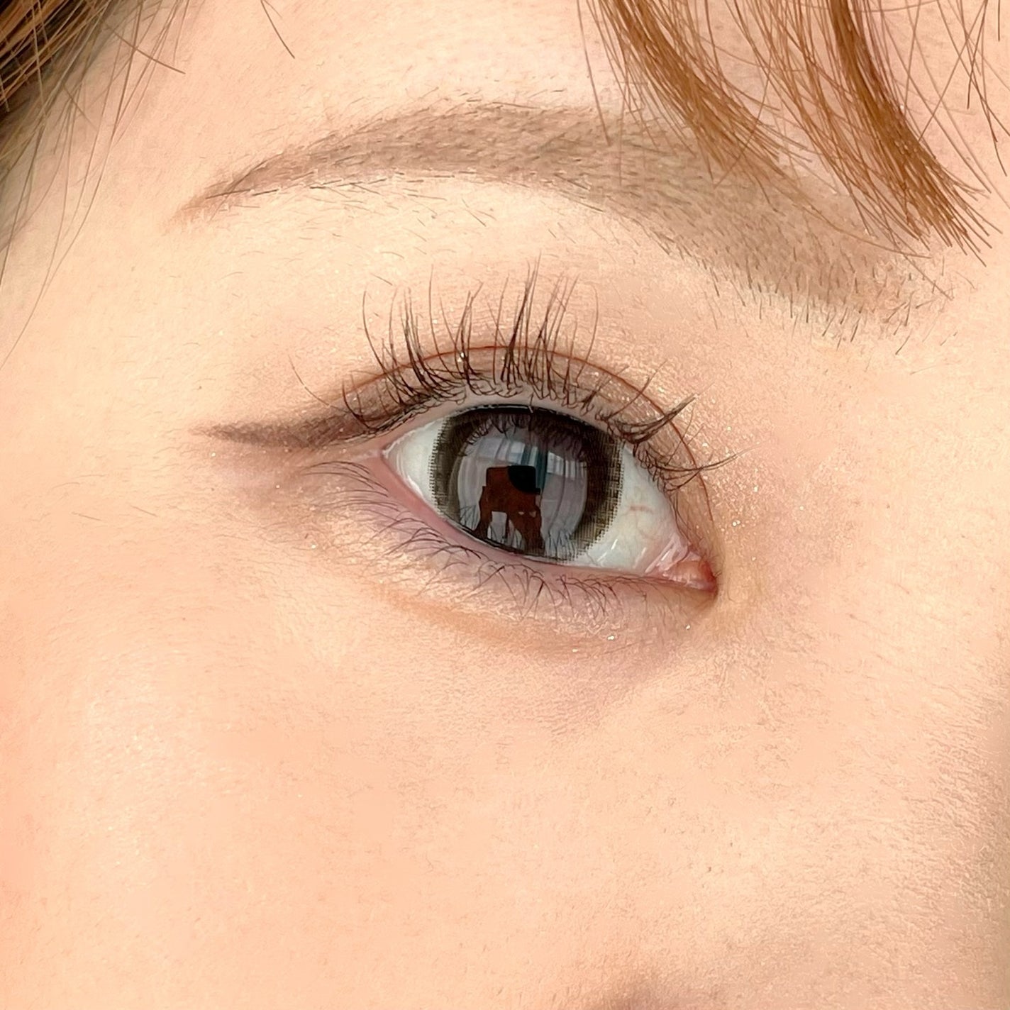りぃさんのコスメ日記💄 on LIPS 「カラコンLaLaCiaララシア♡カラー:パールグレー着色直径:..」(5枚目)