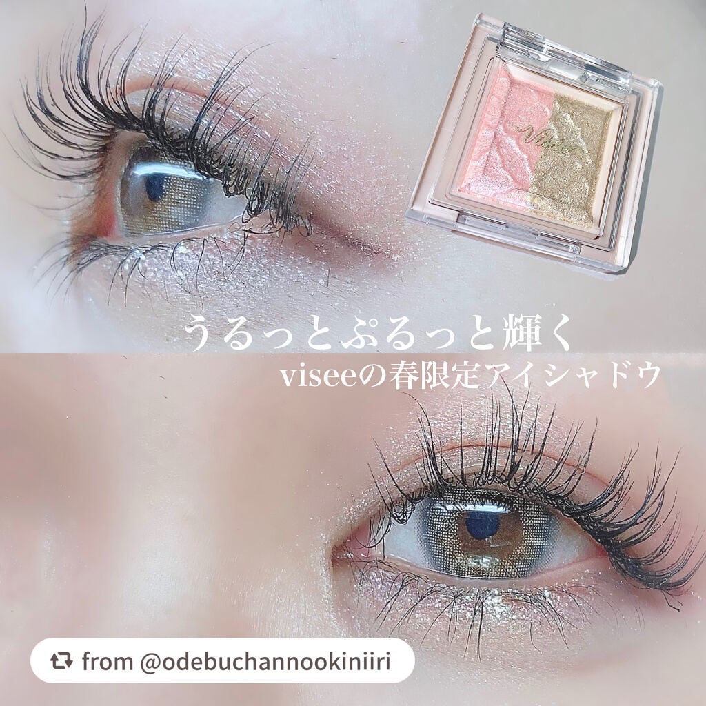 リシェ ダズリング デュオ アイズ/Visée/アイシャドウパレットを使ったクチコミ(1枚目)