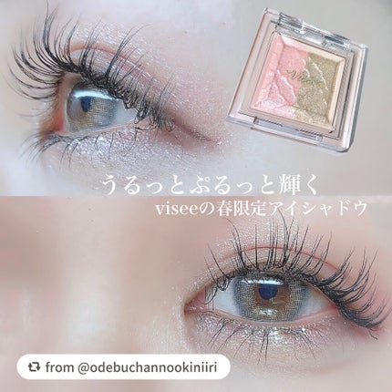 リシェ ダズリング デュオ アイズ/Visée/アイシャドウパレットを使ったクチコミ(1枚目)