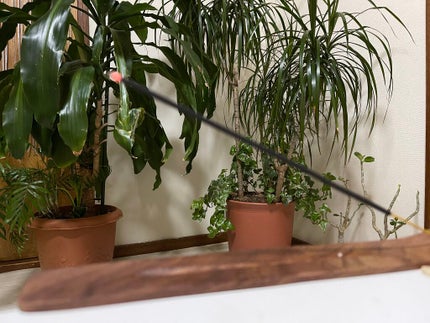 ðžâ± γÏ
κáŒ. à» â±ðž on LIPS ããããéŠãšãéŠç«ãŠããè²·ã£ãŠããŸããâ£ïžãããããããã
ãŒð#..ãïŒ1æç®ïŒ