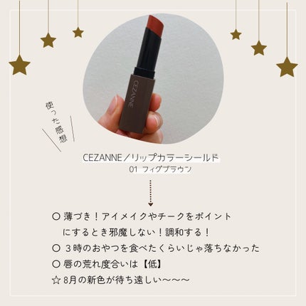 リップカラーシールド/CEZANNE/口紅を使ったクチコミ(5枚目)