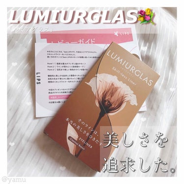 スキルレスライナー/LUMIURGLAS/リキッドアイライナーを使ったクチコミ（1枚目）