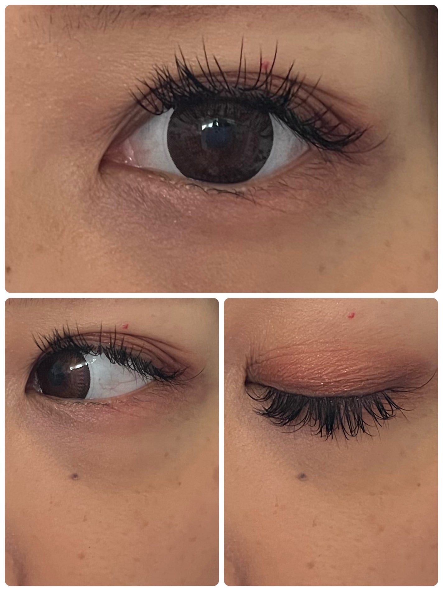 ケイト リップモンスター/KATE/口紅を使ったクチコミ(5枚目)