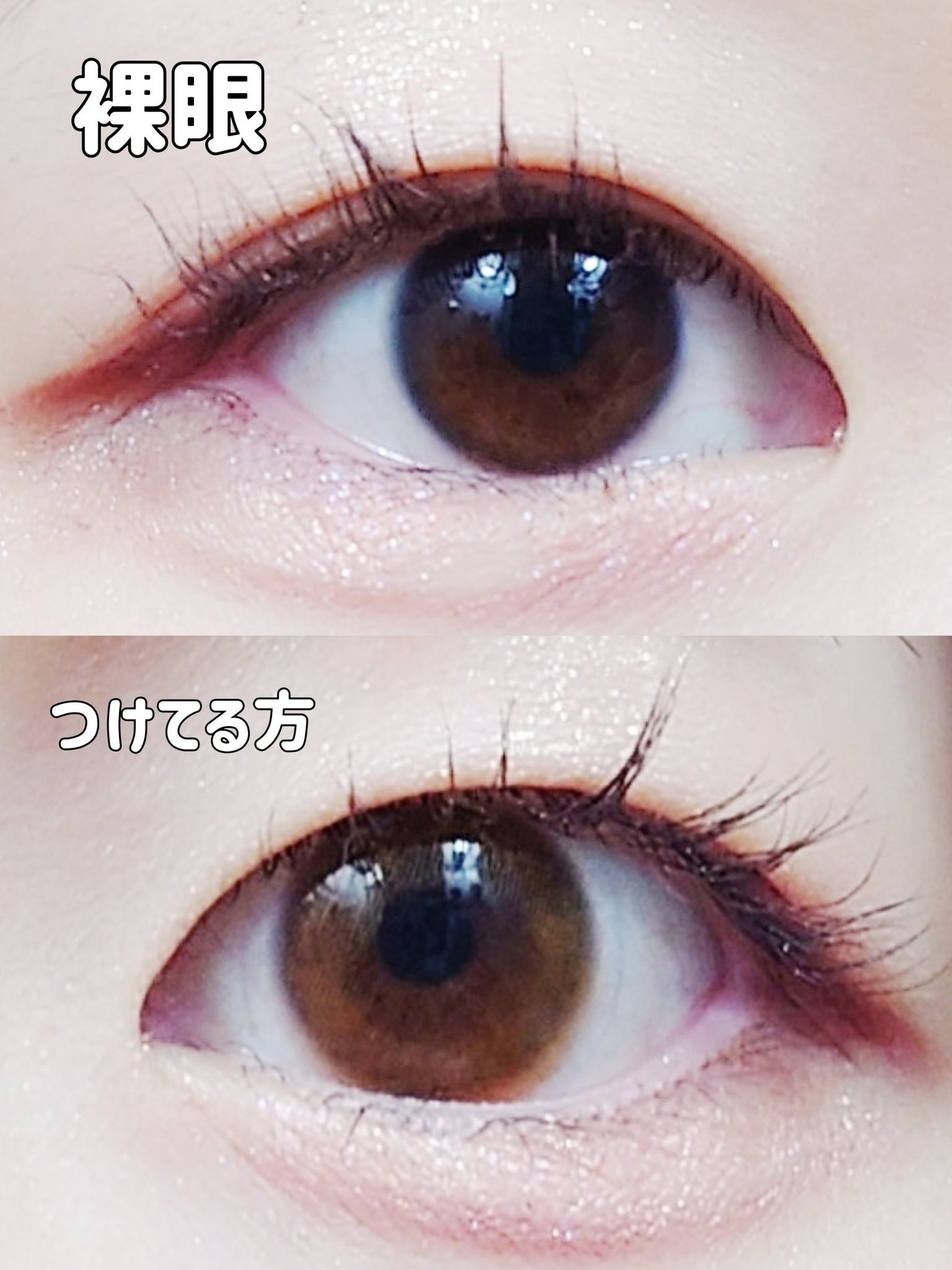 miium 1day/miium/ワンデー(1DAY)カラコンを使ったクチコミ(3枚目)