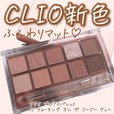 プロ アイ パレット/CLIO/アイシャドウパレットを使ったクチコミ（1枚目）