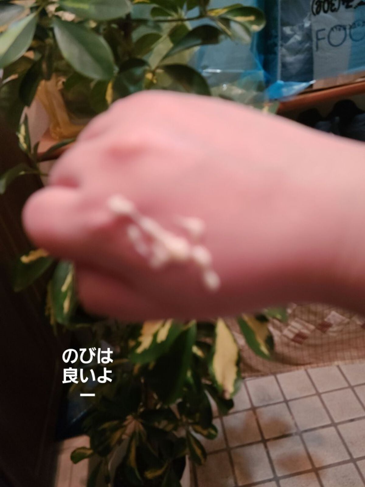 アベイユ ロイヤル クリーム/GUERLAIN/フェイスクリームを使ったクチコミ(2枚目)