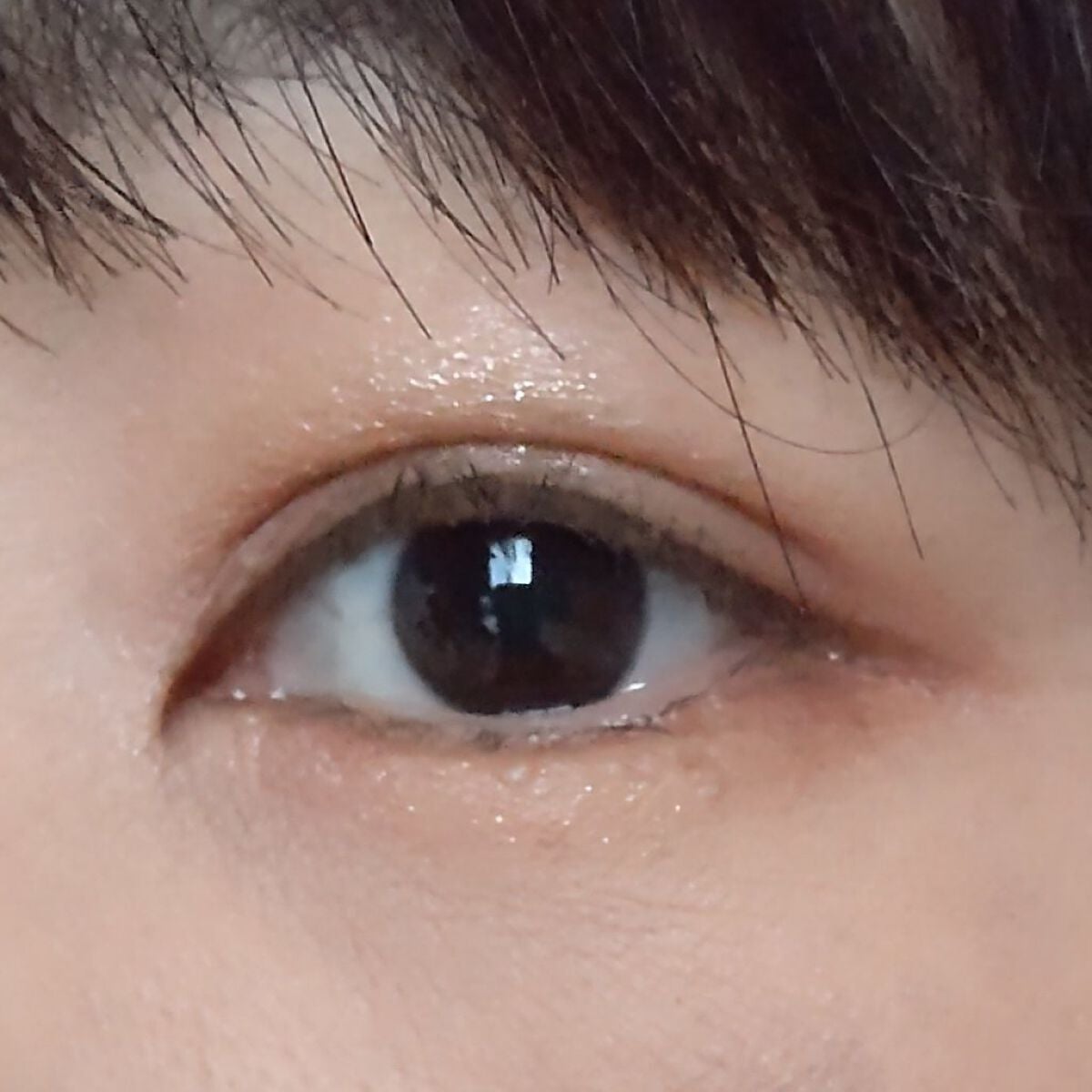 リュクス アイ & チーク パレット/BOBBI BROWN/アイシャドウパレットを使ったクチコミ(2枚目)