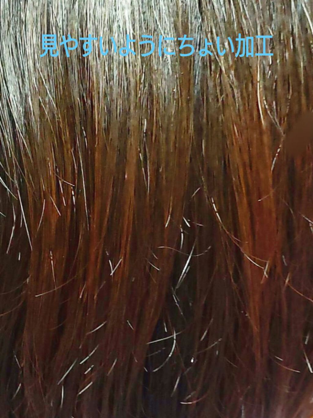 デビルズトリック/クイスクイス/ヘアカラーを使ったクチコミ（2枚目）