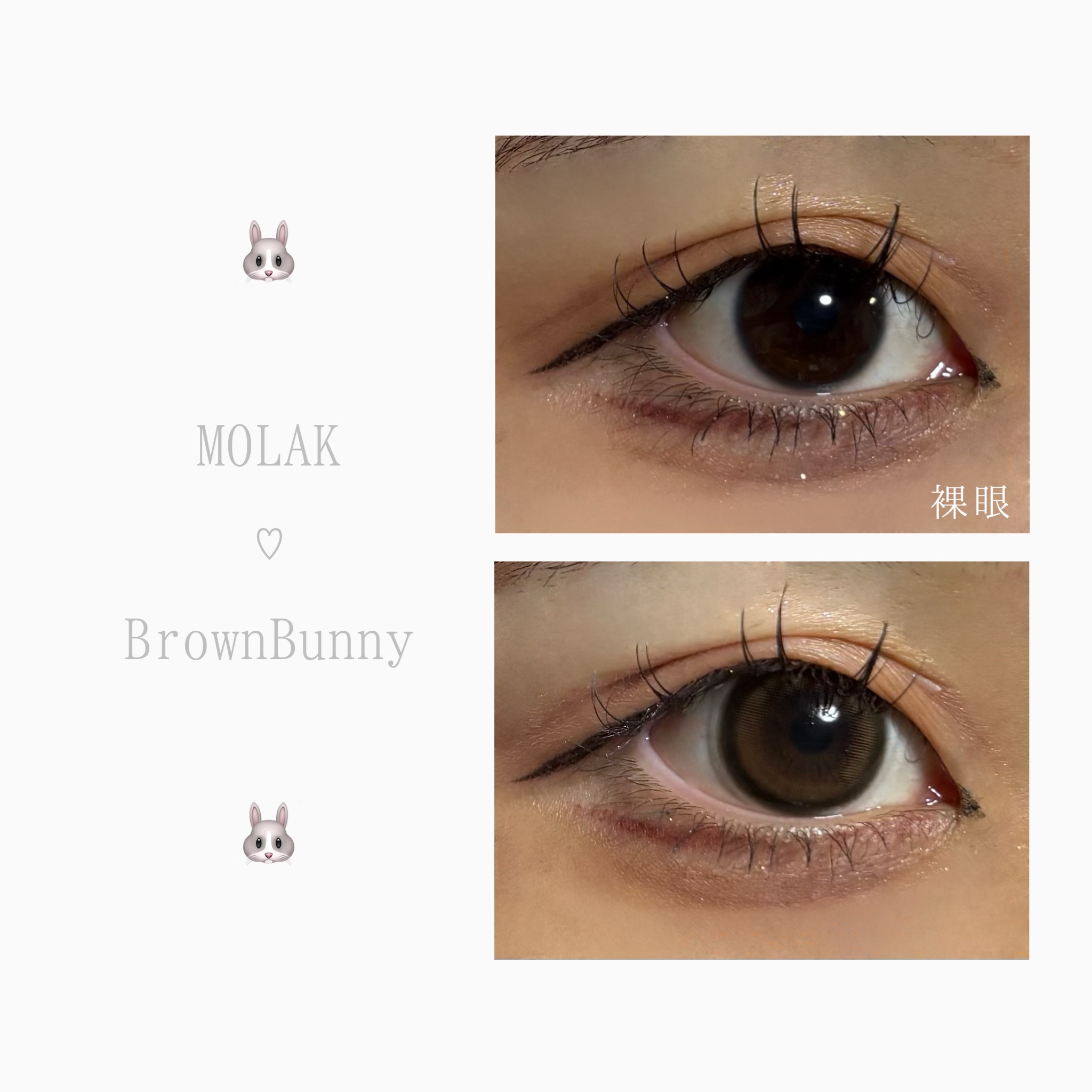 MOLAK 1month ドリームグレー/MOLAK/１ヶ月（１MONTH）カラコンを使ったクチコミ（2枚目）