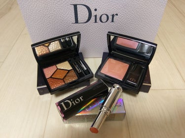 サンク クルール<ワイルド アース＞/Dior/アイシャドウパレットを使ったクチコミ（2枚目）