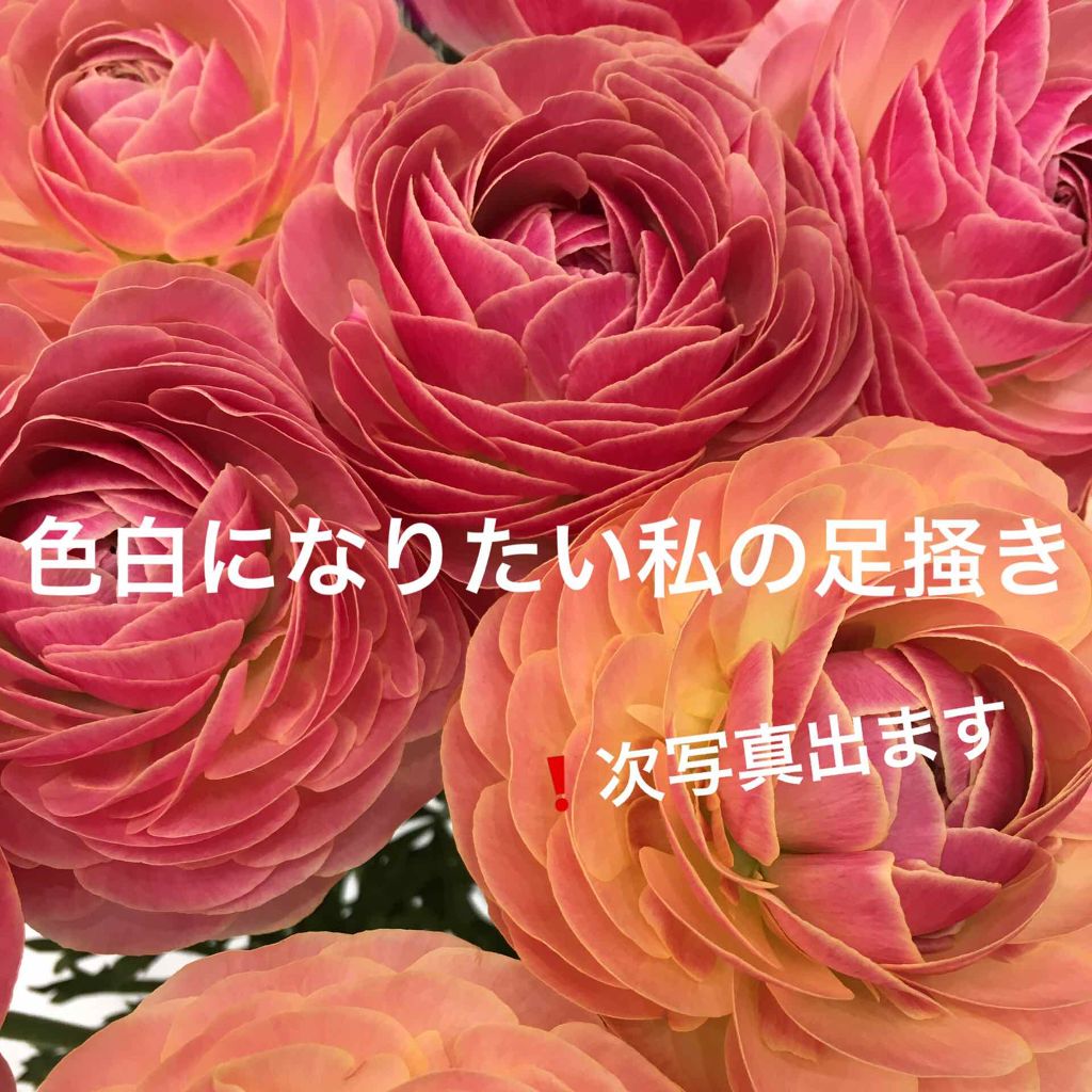 トーンアップクリーム ミルクホワイト/モウシロ/化粧下地を使ったクチコミ(1枚目)