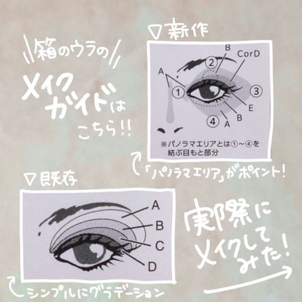 グロッシーリッチ アイズ N/Visée/アイシャドウパレットを使ったクチコミ(8枚目)