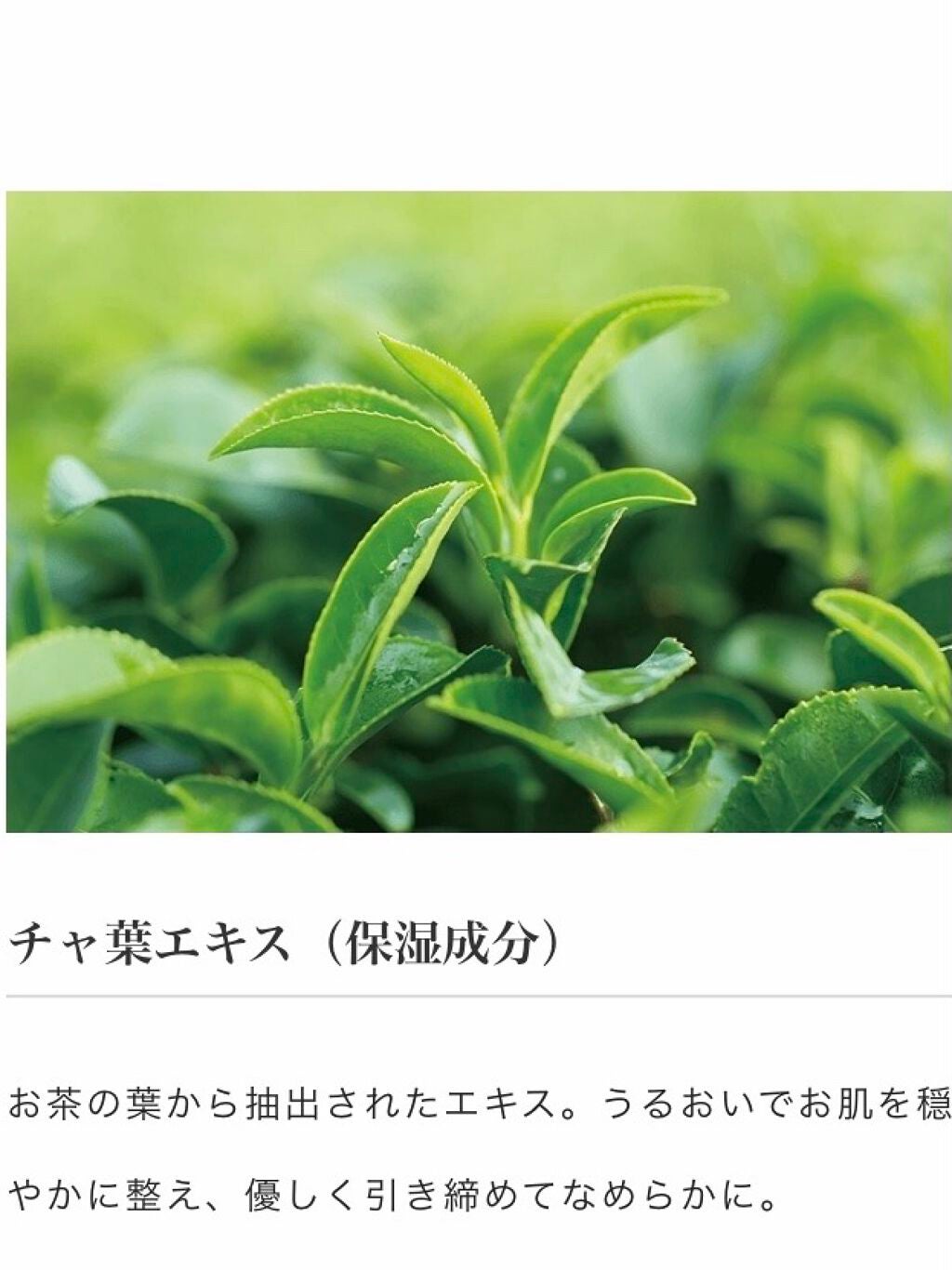 ゆ on LIPS 「敏感肌で美白になりたいyuukaですꪔ̤̮ꪔ̤̮ꪔ̤̮いっぱい..」(4枚目)