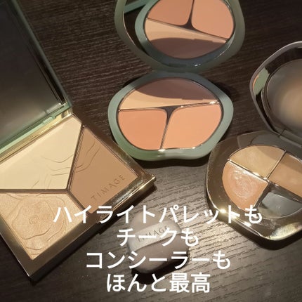 ハイライトシェーディングパレット/TIMAGE/パウダーハイライトを使ったクチコミ(4枚目)