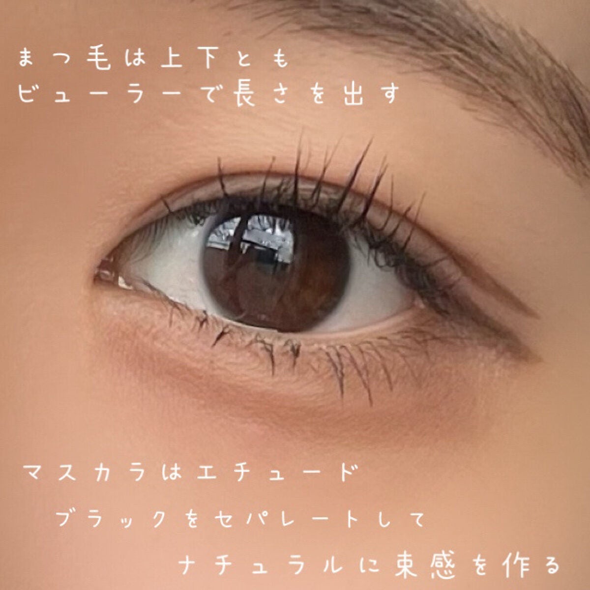 パーフェクトマルチアイズ/キャンメイク/アイシャドウパレットを使ったクチコミ(6枚目)