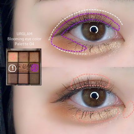 UR GLAM BLOOMING EYE COLOR PALETTE/U R GLAM/アイシャドウパレットを使ったクチコミ(2枚目)