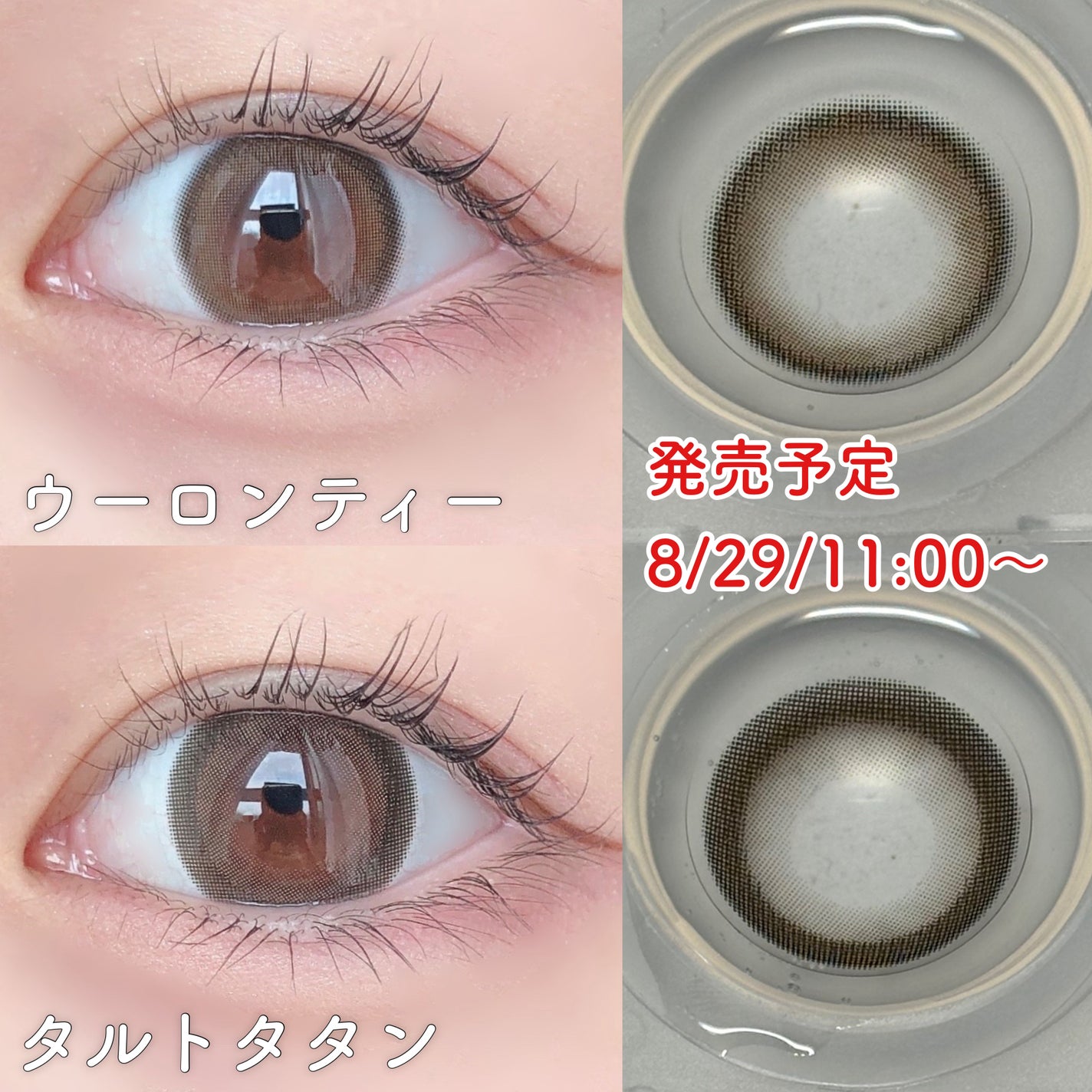 feliamo 1day/feliamo/ワンデー(1DAY)カラコンを使ったクチコミ(4枚目)