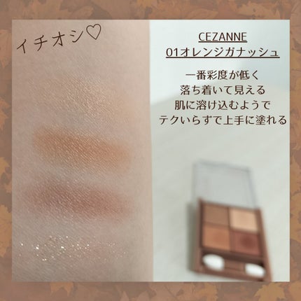 シルキースフレアイズ(マットタイプ)/キャンメイク/アイシャドウパレットを使ったクチコミ(5枚目)