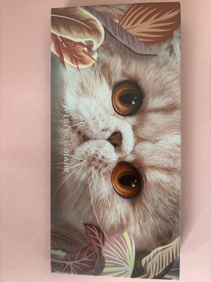 エクスプローラ12色 動物アイシャドウパレット/PERFECT DIARY/アイシャドウパレットを使ったクチコミ(1枚目)