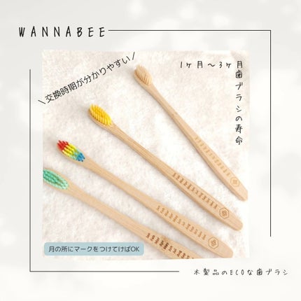 竹歯ブラシ/WannaBee/歯ブラシを使ったクチコミ(1枚目)