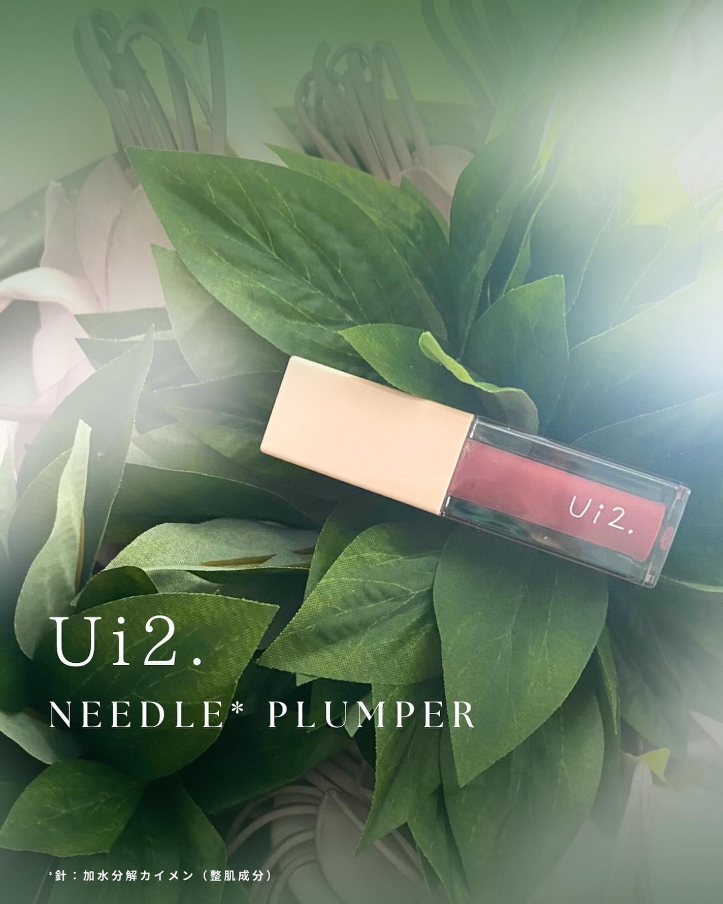 ニードルプランパー 高熱フィグ/Ui2./リッププランパーを使ったクチコミ(1枚目)