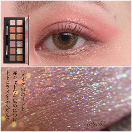 エクスプローラ12色 動物アイシャドウパレット/PERFECT DIARY/アイシャドウパレットを使ったクチコミ(6枚目)
