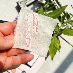 を使ったクチコミ(3枚目)