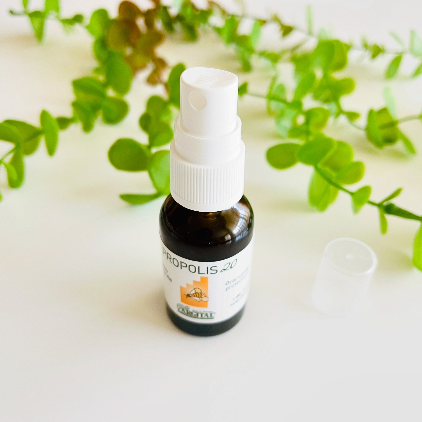 アルジタル プロテクト プロポリスオーラルスプレー/ARGITAL/マウスウォッシュ・スプレーを使ったクチコミ（3枚目）