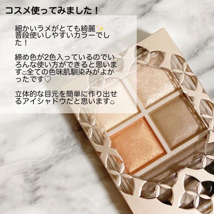 パノラマデザイン アイパレット/Visée/アイシャドウパレットを使ったクチコミ(6枚目)