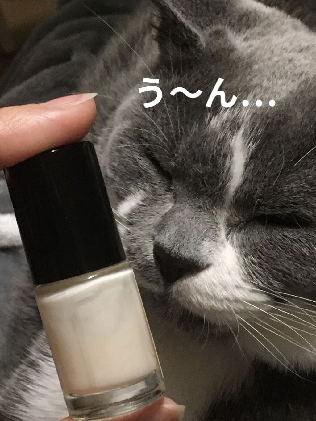 マットトップコート/ラッキートレンディ/ネイルトップコートを使ったクチコミ（1枚目）