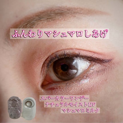 エバーカラーワンデー ナチュラル/エバーカラー/ワンデー(1DAY)カラコンを使ったクチコミ(1枚目)