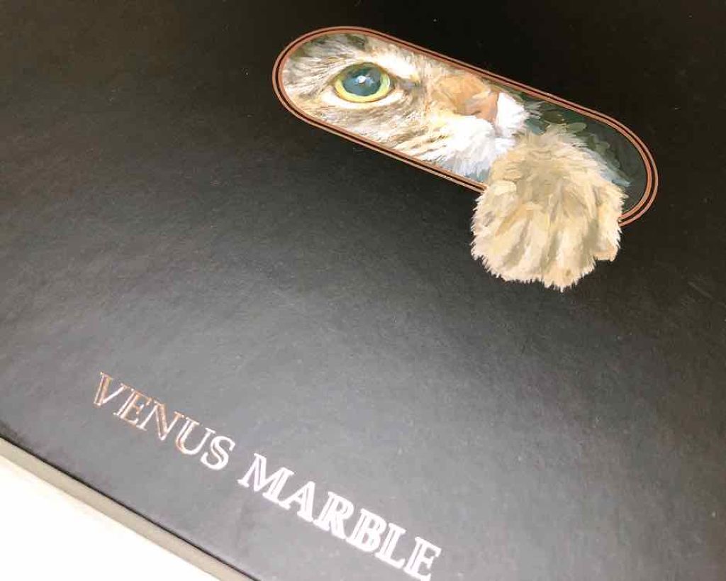 Venus Marble アイシャドウキャットシリーズ/Venus Marble/アイシャドウパレットを使ったクチコミ(2枚目)