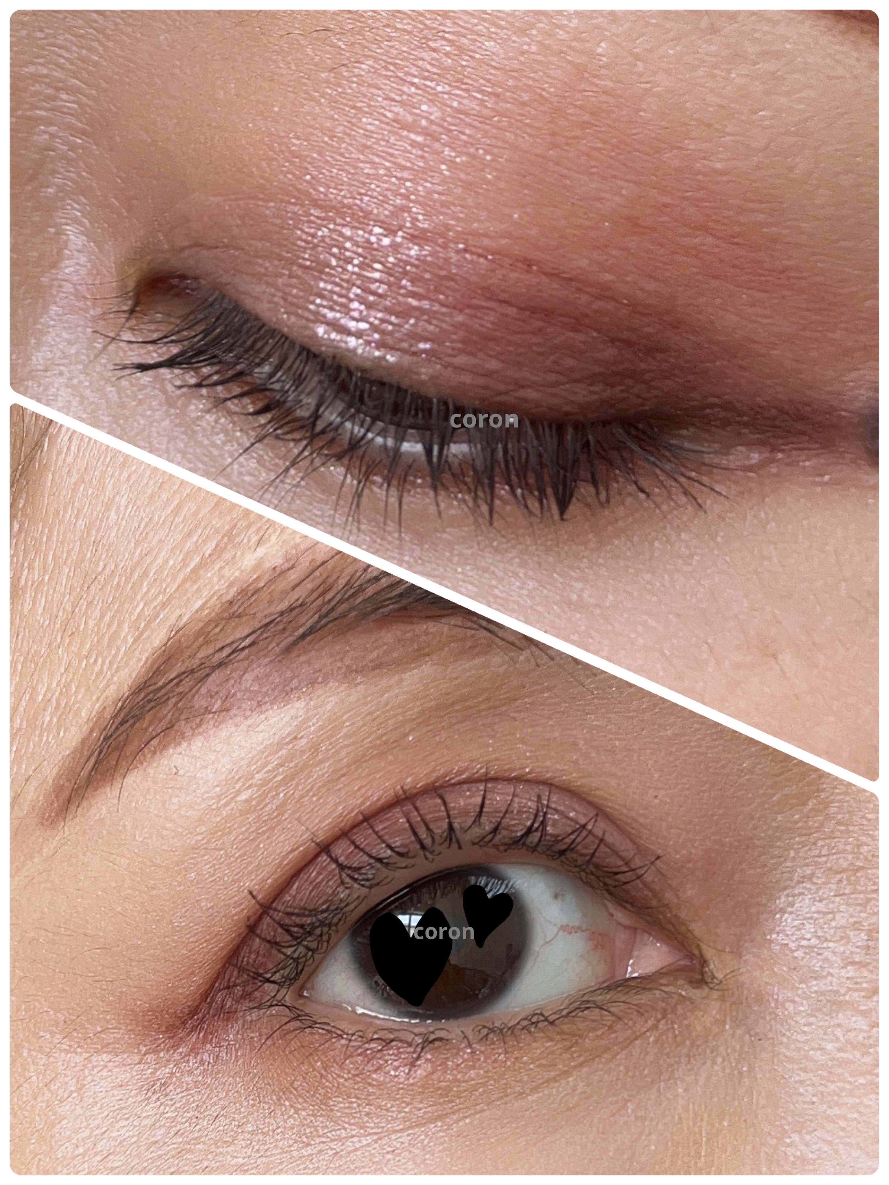 シルキースフレアイズ（マットタイプ）/キャンメイク/アイシャドウパレットを使ったクチコミ（2枚目）