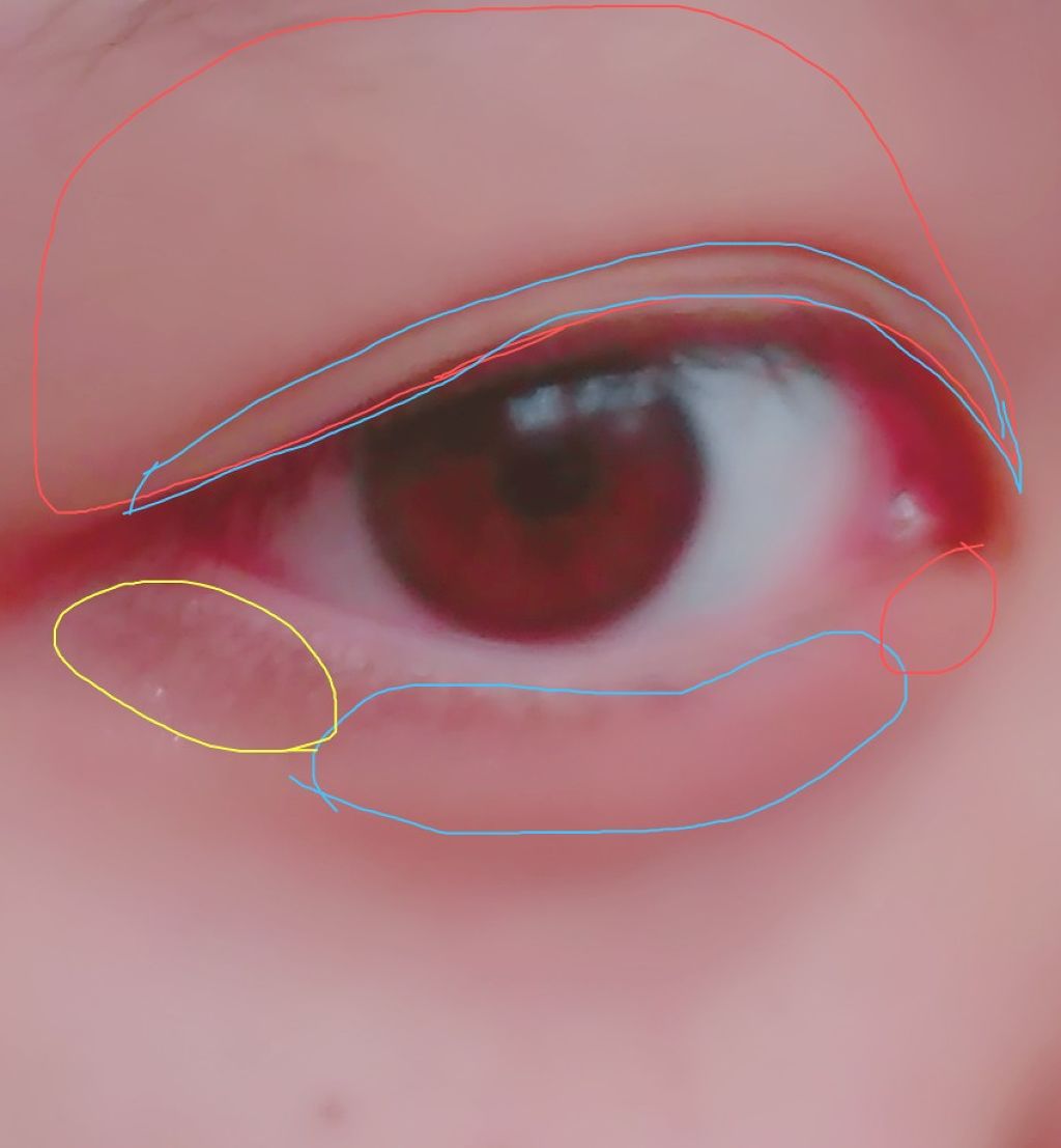 ナチュラル チークN/CEZANNE/パウダーチークを使ったクチコミ（3枚目）