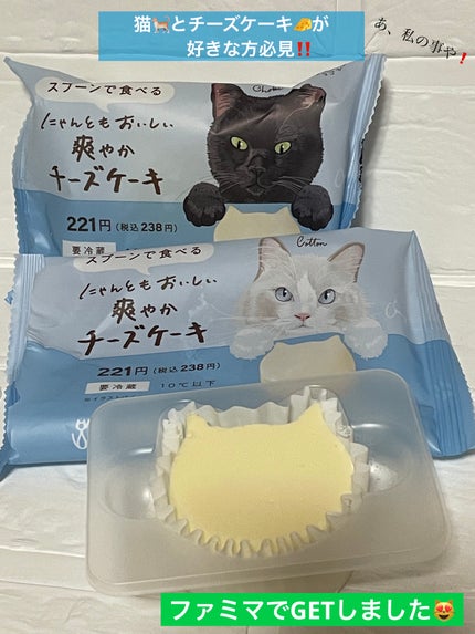 メイク キープ ミスト EX/コーセーコスメニエンス/フィックスミストを使ったクチコミ(2枚目)