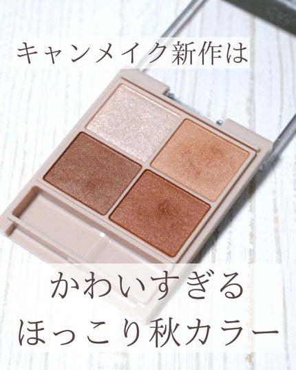 シルキースフレアイズ(マットタイプ)/キャンメイク/アイシャドウパレットを使ったクチコミ(2枚目)