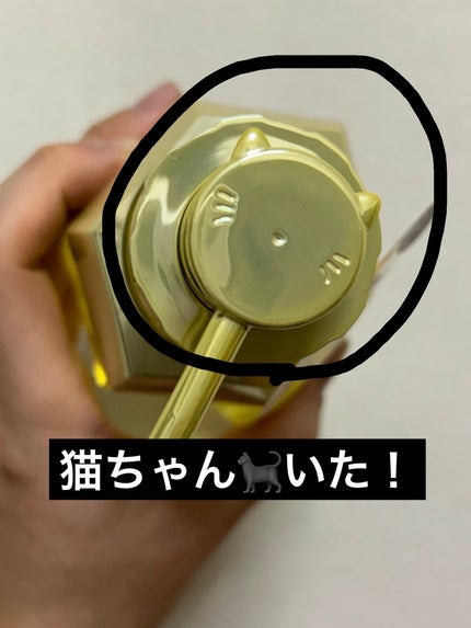 アンドハニー ピクシー モイストシルキー シャンプー1.0/ヘアトリートメント2.0/&honey/市販シャンプーを使ったクチコミ(2枚目)