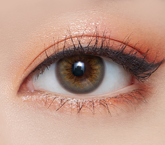 SCANDI 1day グレー 