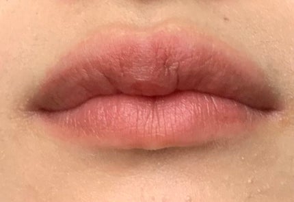 ネンマクフェイク ルージュ/Visée/口紅を使ったクチコミ(4枚目)