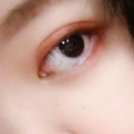 ダークローズシャドウ/KATE/アイシャドウパレットを使ったクチコミ（3枚目）