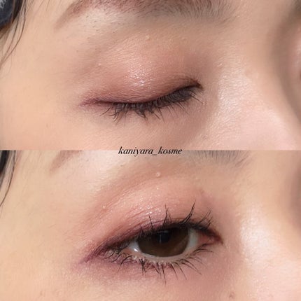 シルキースフレアイズ(マットタイプ)/キャンメイク/アイシャドウパレットを使ったクチコミ(7枚目)