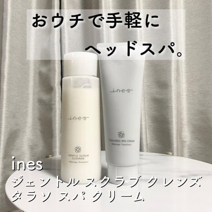 ジェントル スクラブ クレンズ/ines/市販シャンプーを使ったクチコミ(1枚目)