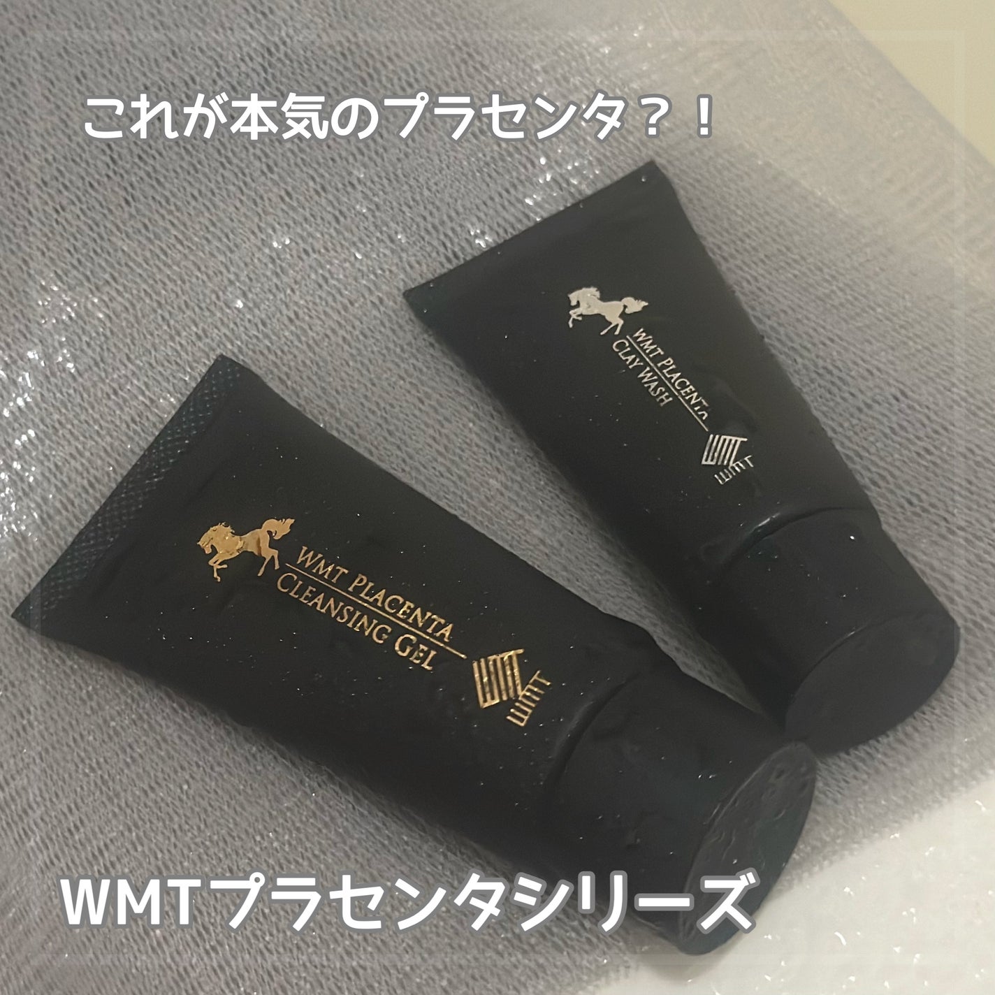 WMT プラセンタ クレンジングジェル/WMT/クレンジングジェルを使ったクチコミ(1枚目)