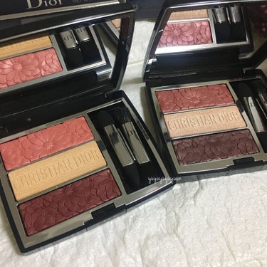 トリオ ブリック パレット＜ピュア グロウ＞/Dior/アイシャドウパレットを使ったクチコミ（1枚目）