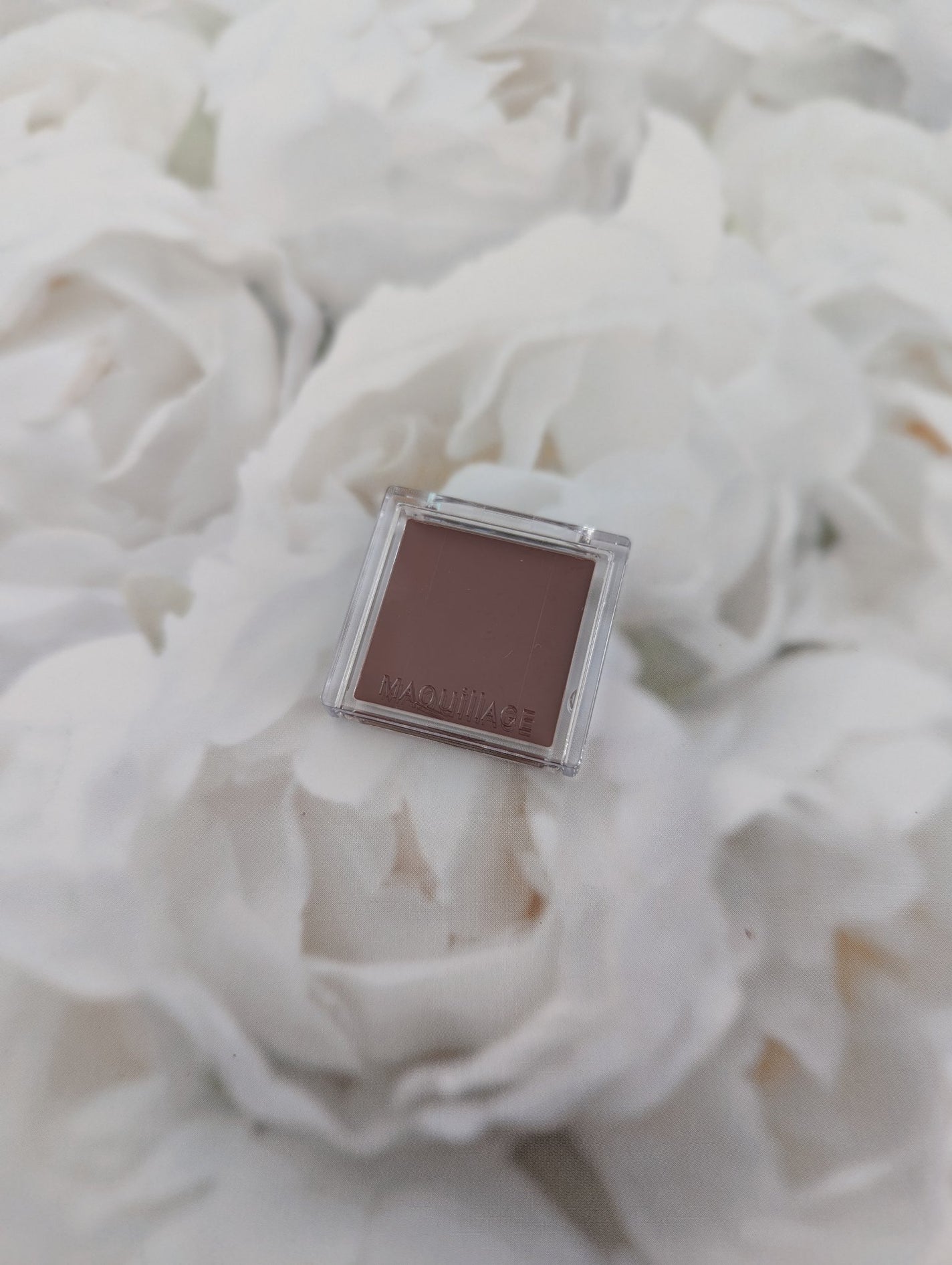 ドラマティックリップカラー (マット)/マキアージュ/口紅を使ったクチコミ(2枚目)