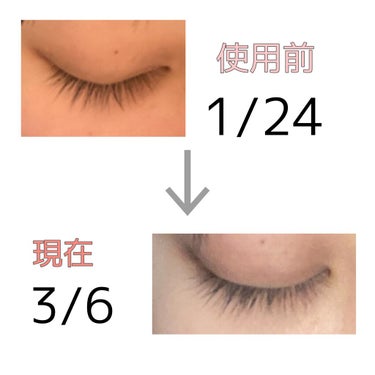 FEG  Eyelash  Enhancer/FEG/まつげ美容液を使ったクチコミ（2枚目）