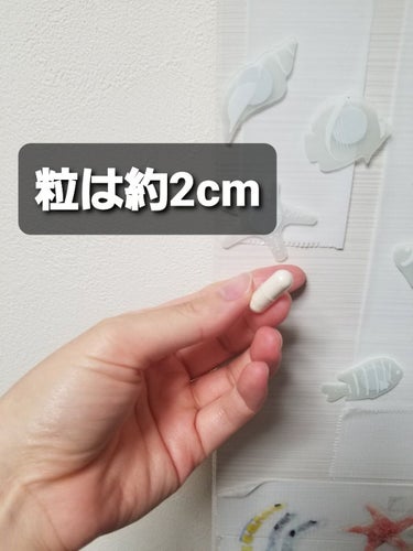 MAGNESIUM CITRATE(マグネシウムキレート)/SOLARAY（ソラレー）/健康サプリメントを使ったクチコミ（2枚目）